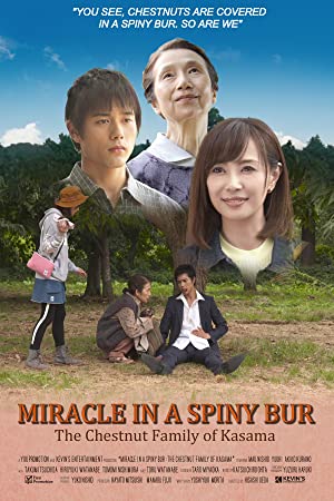 Miracle in a Spiny