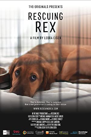 Rescuing Rex (2020