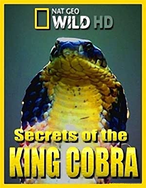 Secrets of the Kin