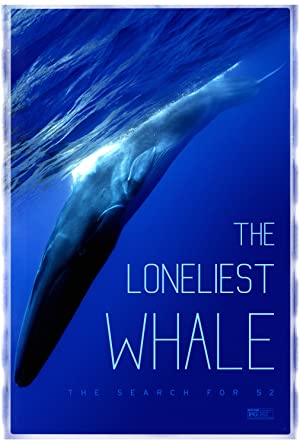 The Loneliest Whal
