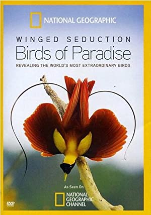 Winged Seduction: 