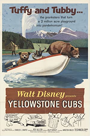 Yellowstone Cubs (