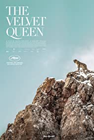 The Velvet Queen (