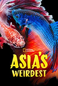 Asias Weirdest (20