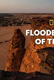 Flooded Tombs of t