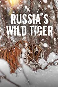 Russias Wild Tiger