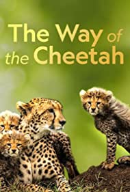 The Way of the Che