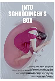 Into Schrodingers 