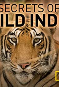 Secrets of Wild In