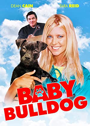 Baby Bulldog (2020