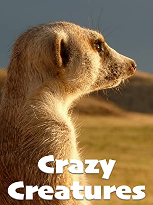 Crazy Creatures (2