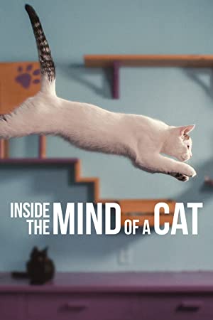 Inside the Mind of