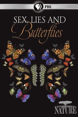 Sex, Lies and Butt