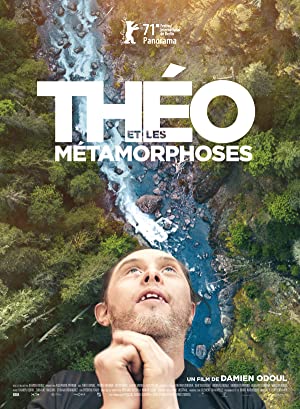 Theo and the Metam
