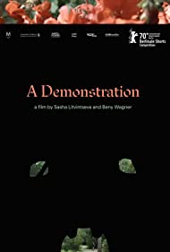 A Demonstration (2