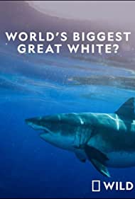 Worlds Biggest Gre