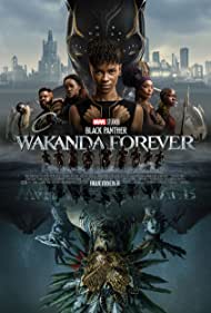 Black Panther Waka