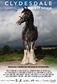Clydesdale Saving 