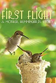 First Flight A Mot