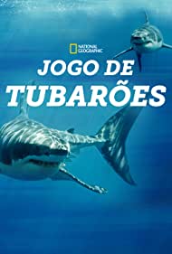 Game of Sharks (20