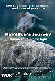 Hamiltons Journey 