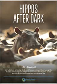 Hippos After Dark 