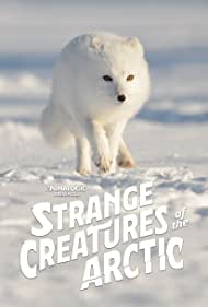 Strange Creatures 