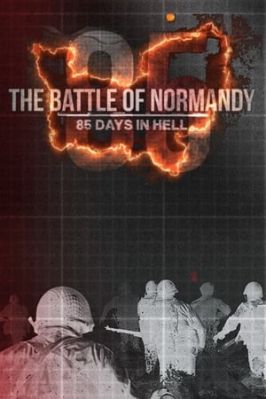The Battle of Norm