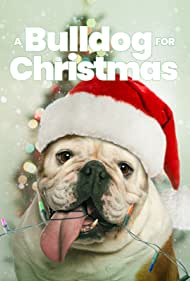 A Bulldog for Chri