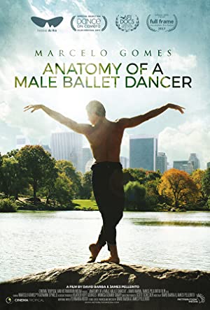 Anatomy of a Male 