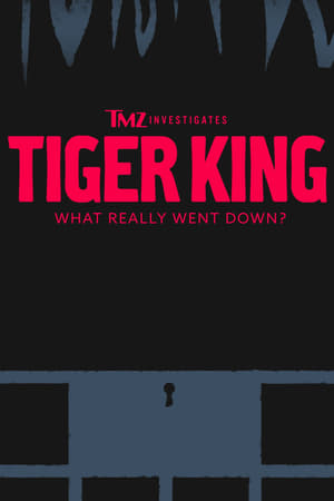 TMZ Investigates T