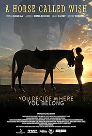 A Horse Called Wis