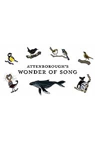 Attenboroughs Wond