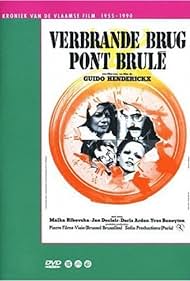 Verbrande brug (19