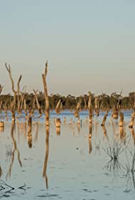 The Lake of Scars 