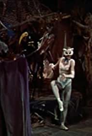 The Sorcerers Appr
