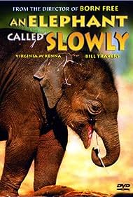 An Elephant Called