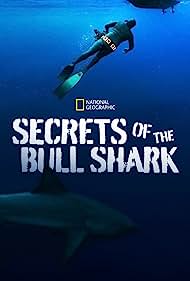 Secrets of the Bul
