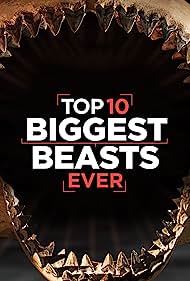 Top 10 Biggest Bea