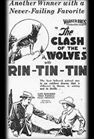 Clash of the Wolve