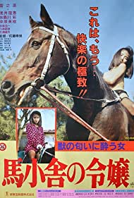 Neigh Means Yes (1