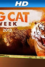 Big Cat Games (201