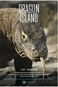 Dragon Island (201
