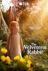 The Velveteen Rabb