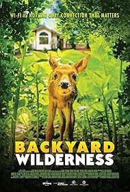Backyard Wildernes
