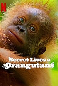 Secret Lives of Or