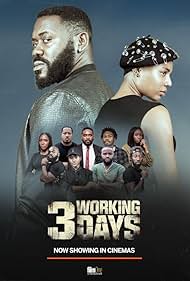 3 Working Days (20