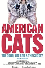 American Cats The 