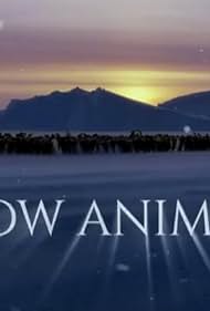 Snow Animals (2019