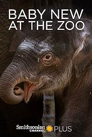 Baby New at the Zo